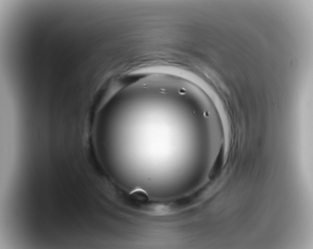 X0000099570509200805231534