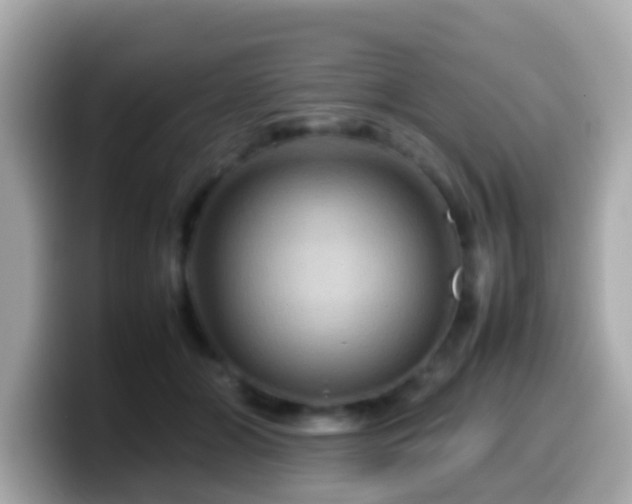 X0000099570510200805231534