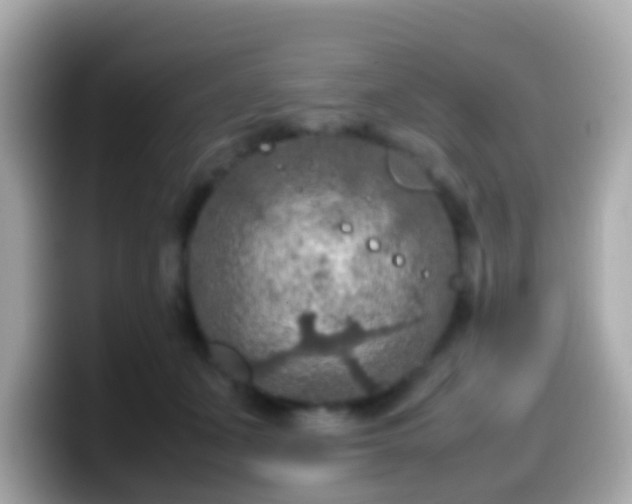 X0000099570511200805231534