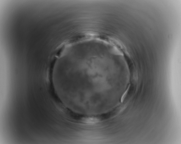 X0000099570512200805231534