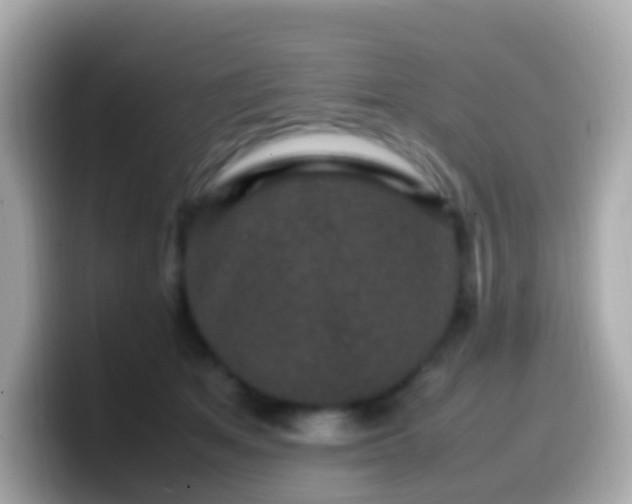 X0000099570513200805231534