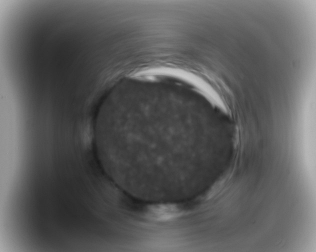 X0000099570517200805231534