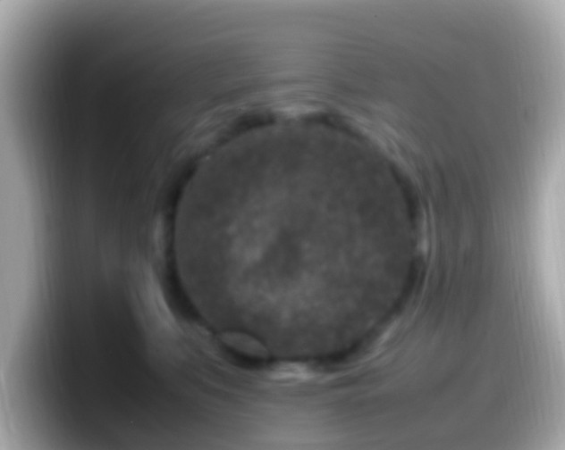X0000099570519200805231534
