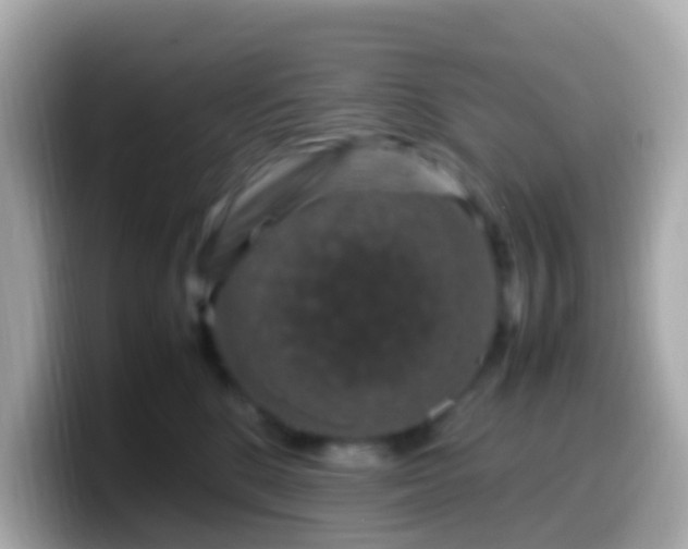 X0000099570520200805231534