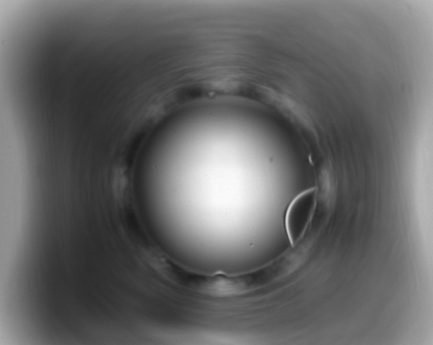 X0000099570522200805231534