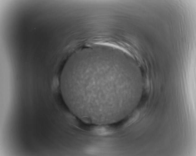 X0000099570523200805231534