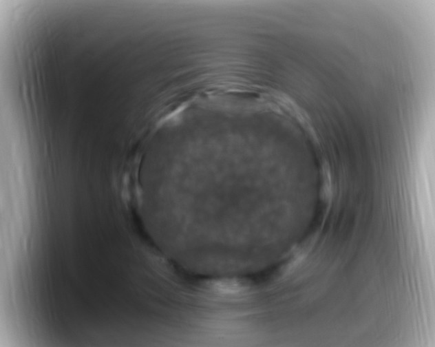 X0000099570524200805231534