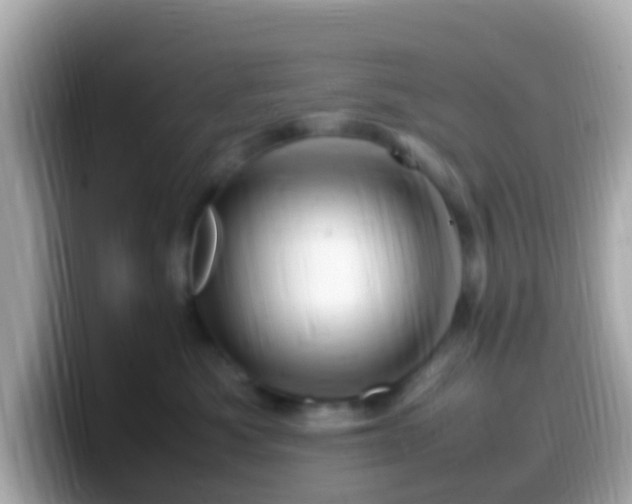 X0000099570525200805231534