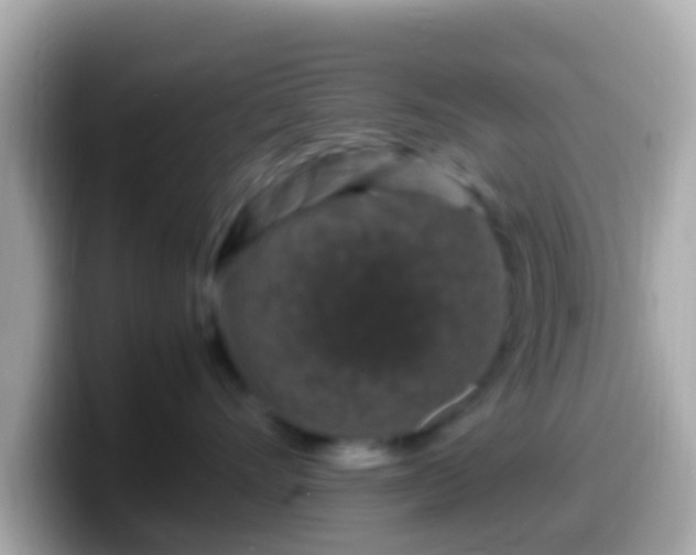 X0000099570528200805231534