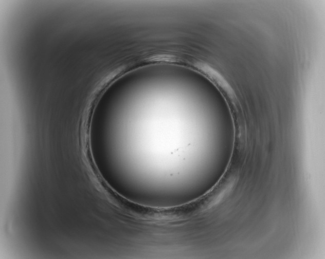 X0000099570529200805231533