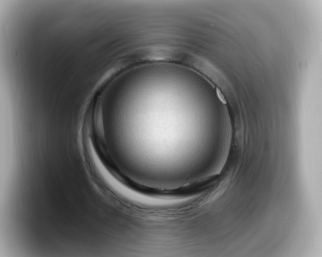 X0000099570530200805231533