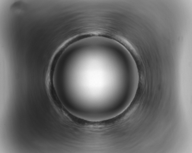 X0000099570532200805231533