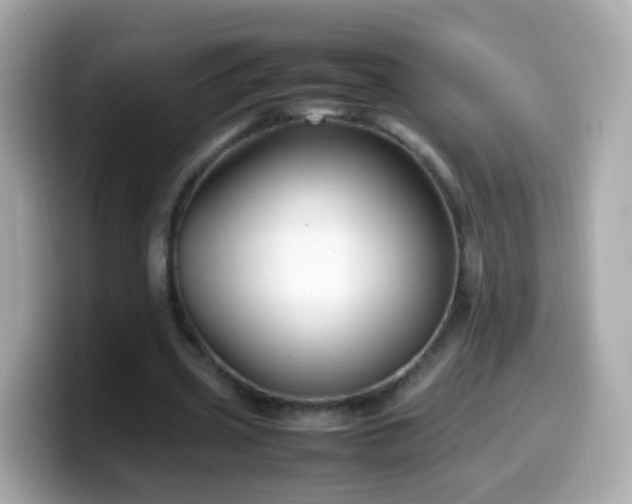 X0000099570533200805231533