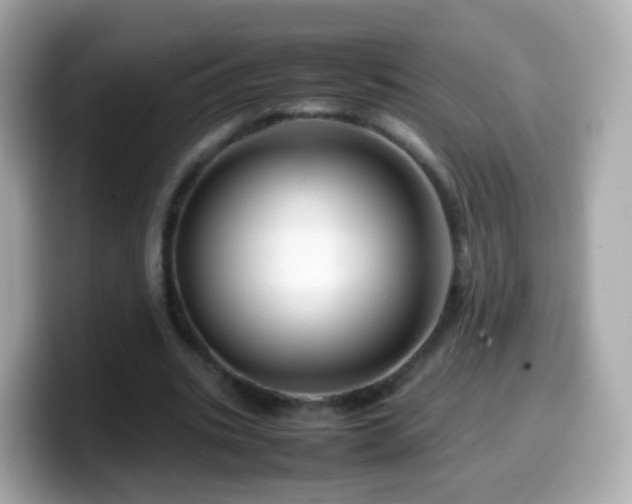 X0000099570535200805231533