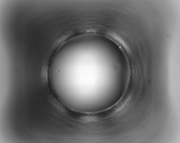 X0000099570537200805231533