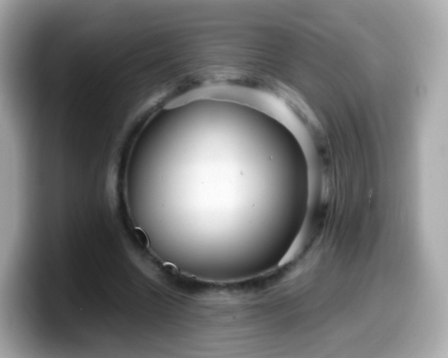 X0000099570538200805231533
