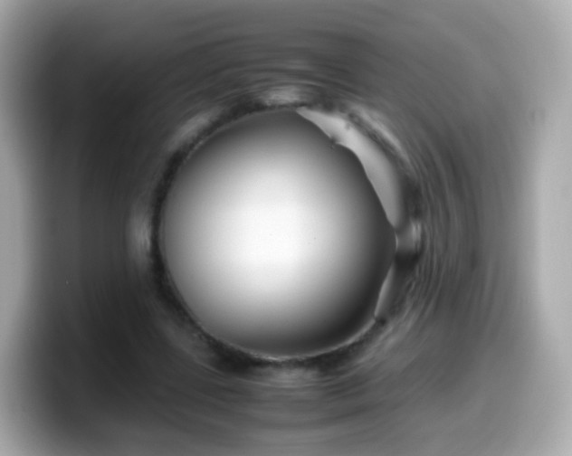 X0000099570539200805231533