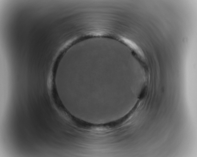 X0000099570540200805231533