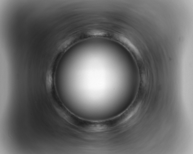 X0000099570541200805231533