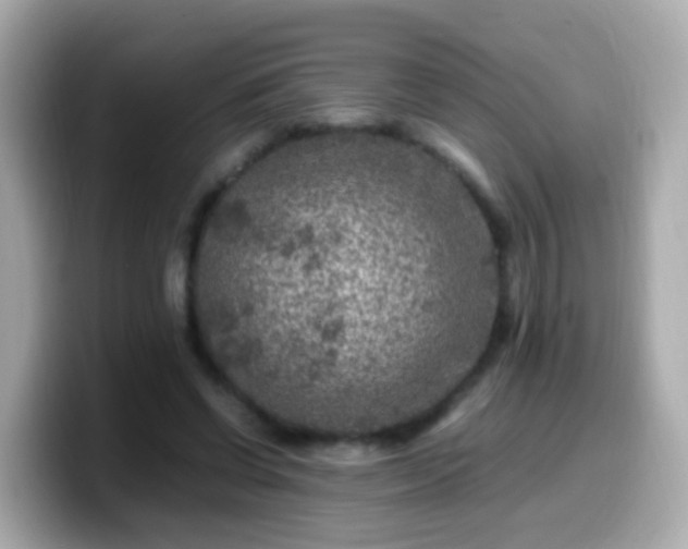 X0000099570542200805231533