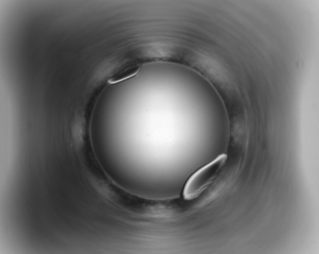 X0000099570544200805231533
