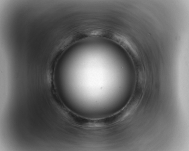 X0000099570545200805231533