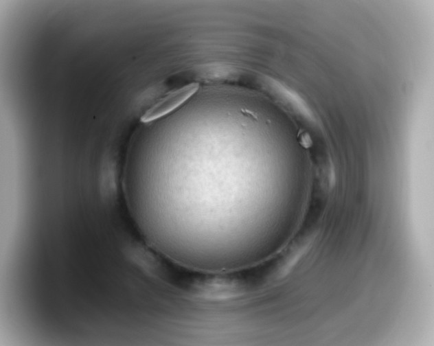 X0000099570546200805231533
