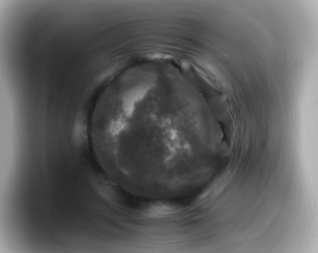 X0000099570547200805231533