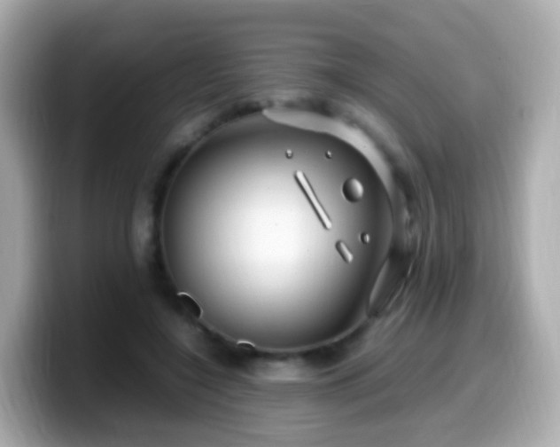 X0000099570548200805231533