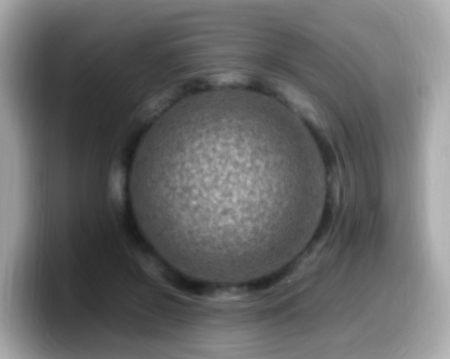 X0000099570550200805231533