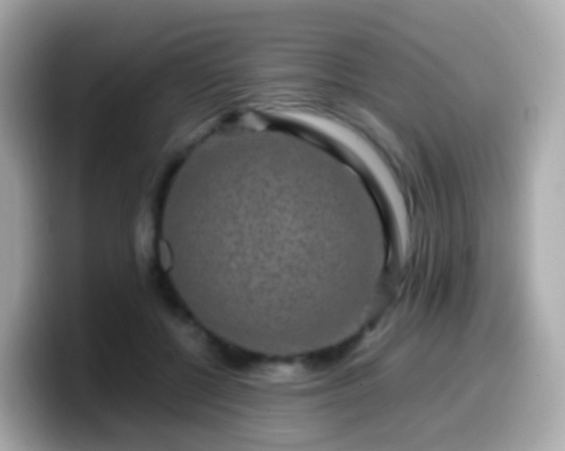 X0000099570552200805231533
