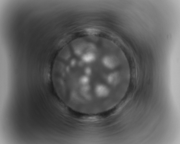 X0000099570553200805231533