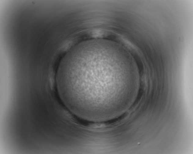 X0000099570554200805231533