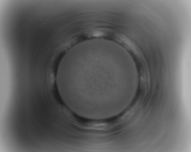 X0000099570555200805231533
