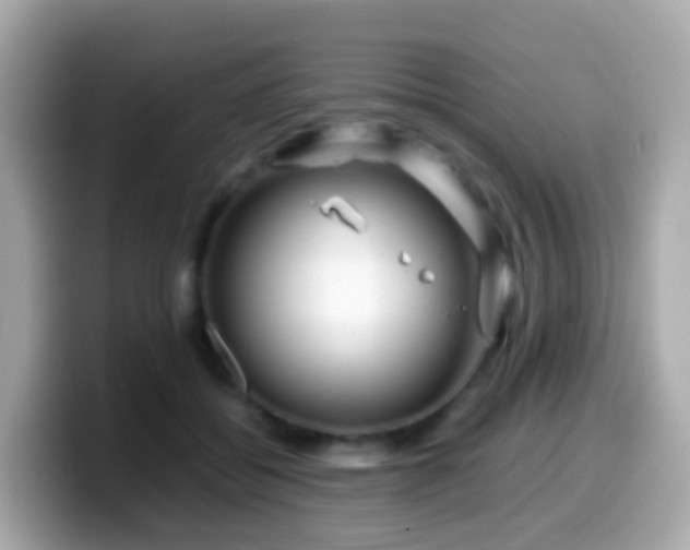 X0000099570556200805231533