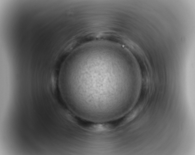 X0000099570558200805231533