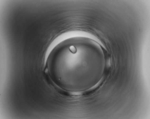 X0000099570560200805231533
