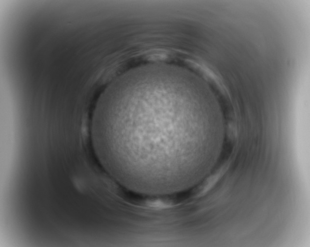 X0000099570561200805231533