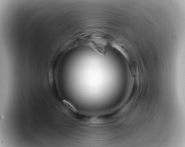 X0000099570562200805231533