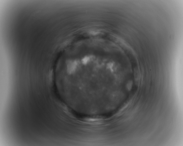 X0000099570563200805231533