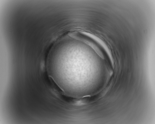X0000099570564200805231533