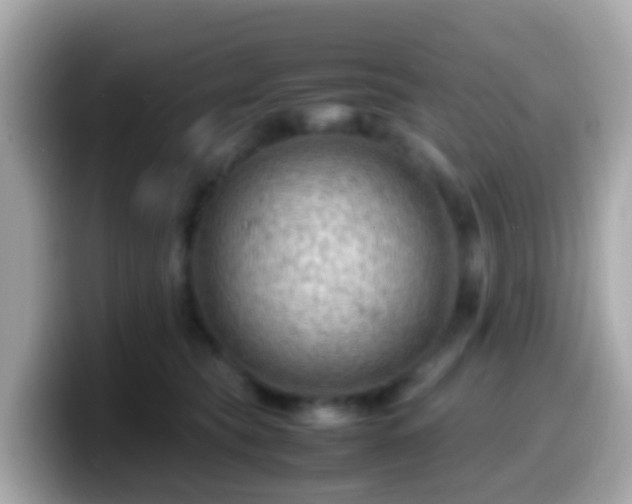 X0000099570565200805231533