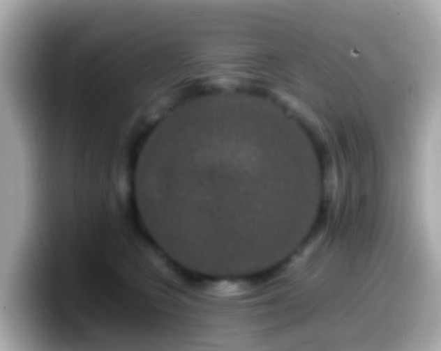 X0000099570566200805231533