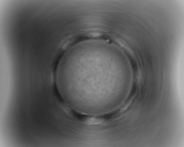 X0000099570568200805231533