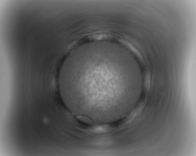 X0000099570569200805231533