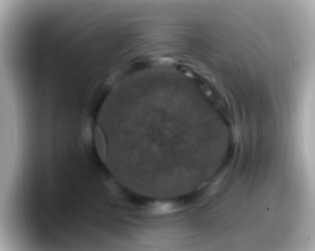 X0000099570570200805231533