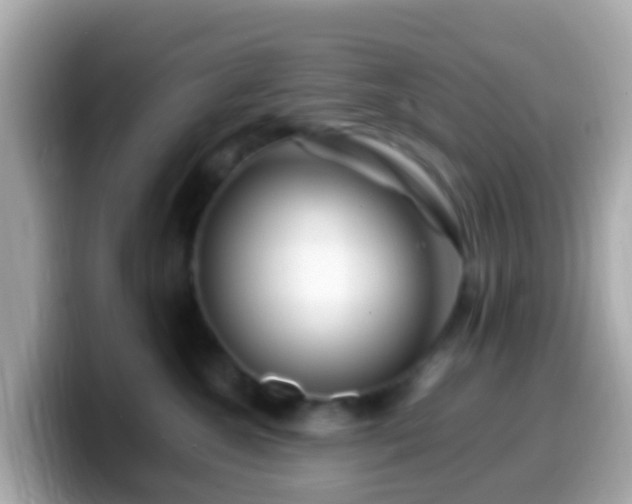 X0000099570572200805231534