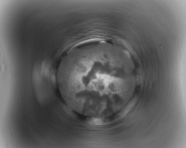 X0000099570573200805231534
