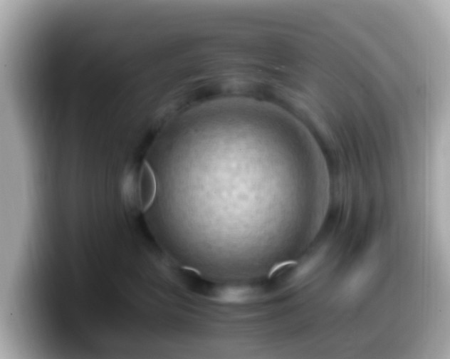 X0000099570575200805231534