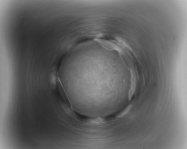 X0000099570576200805231534